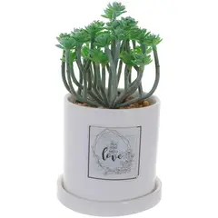 MALLORCA - Planta Decorativa All You Need Love Maceta Blanca