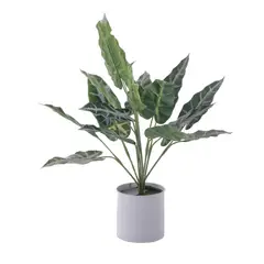 MALLORCA - Planta Decora Artificial Alocasia Zebrina Blanca