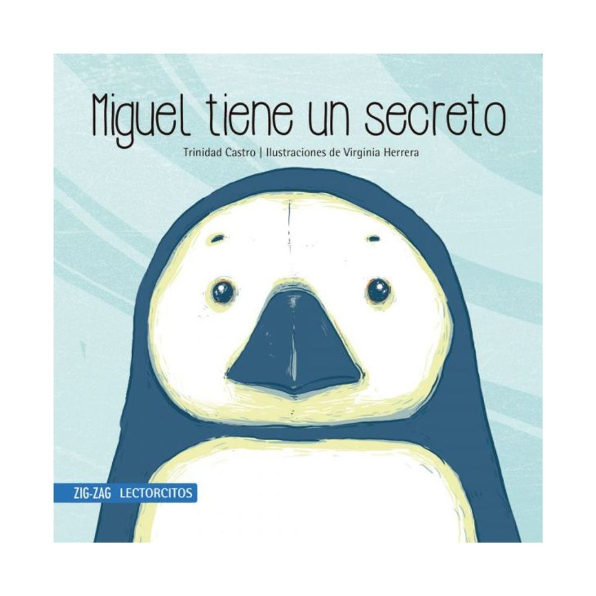 ZIG ZAG - Miguel Tiene Un Secreto