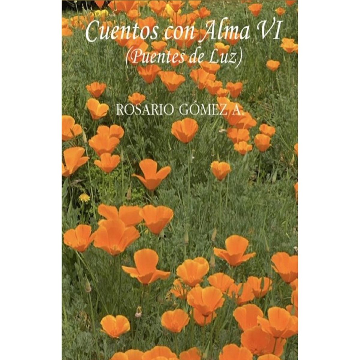 ZIG ZAG - Cuentoscon Alma Vi