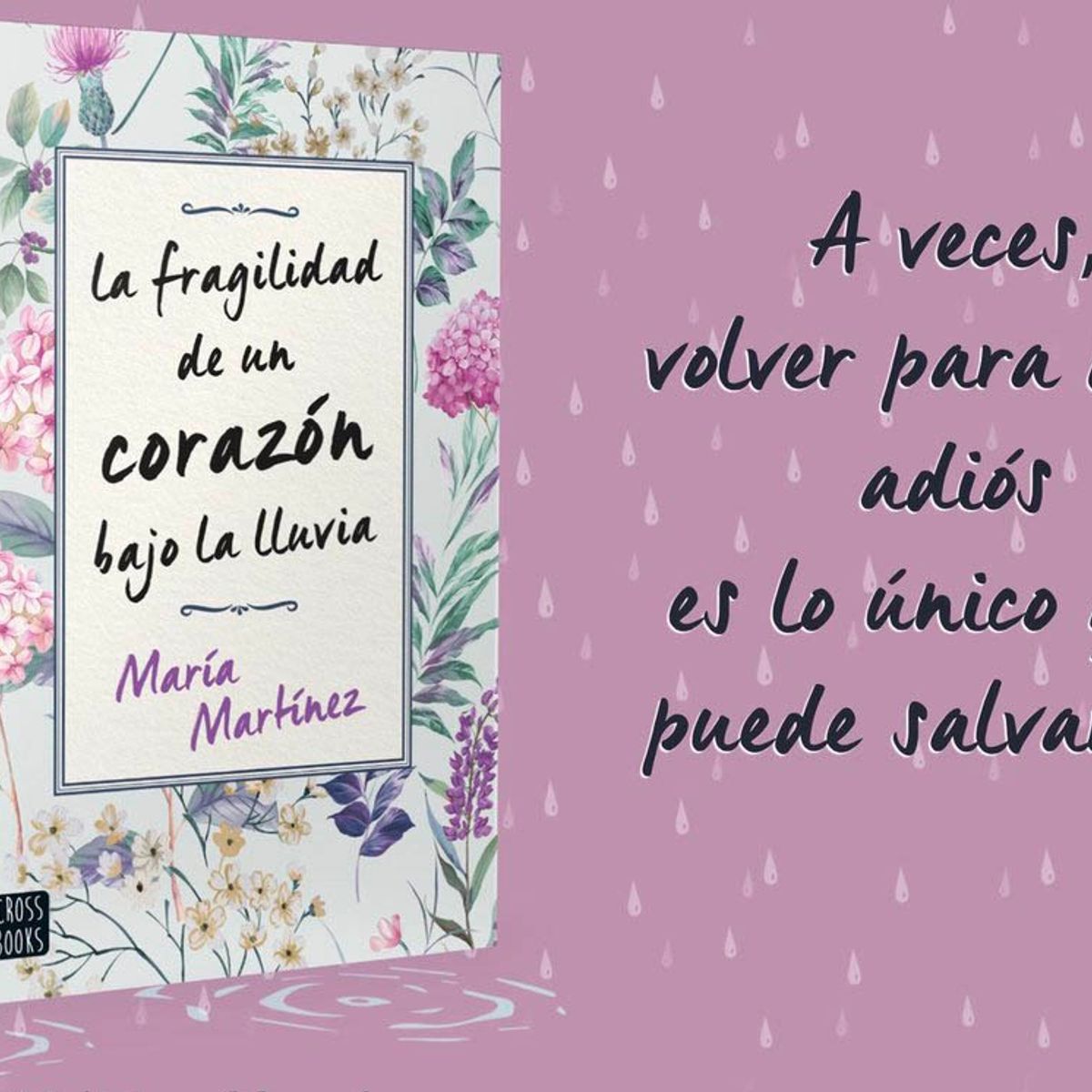 TOP10BOOKS - LIBRO La Fragilidad De Un Corazon Bajo La Lluvia