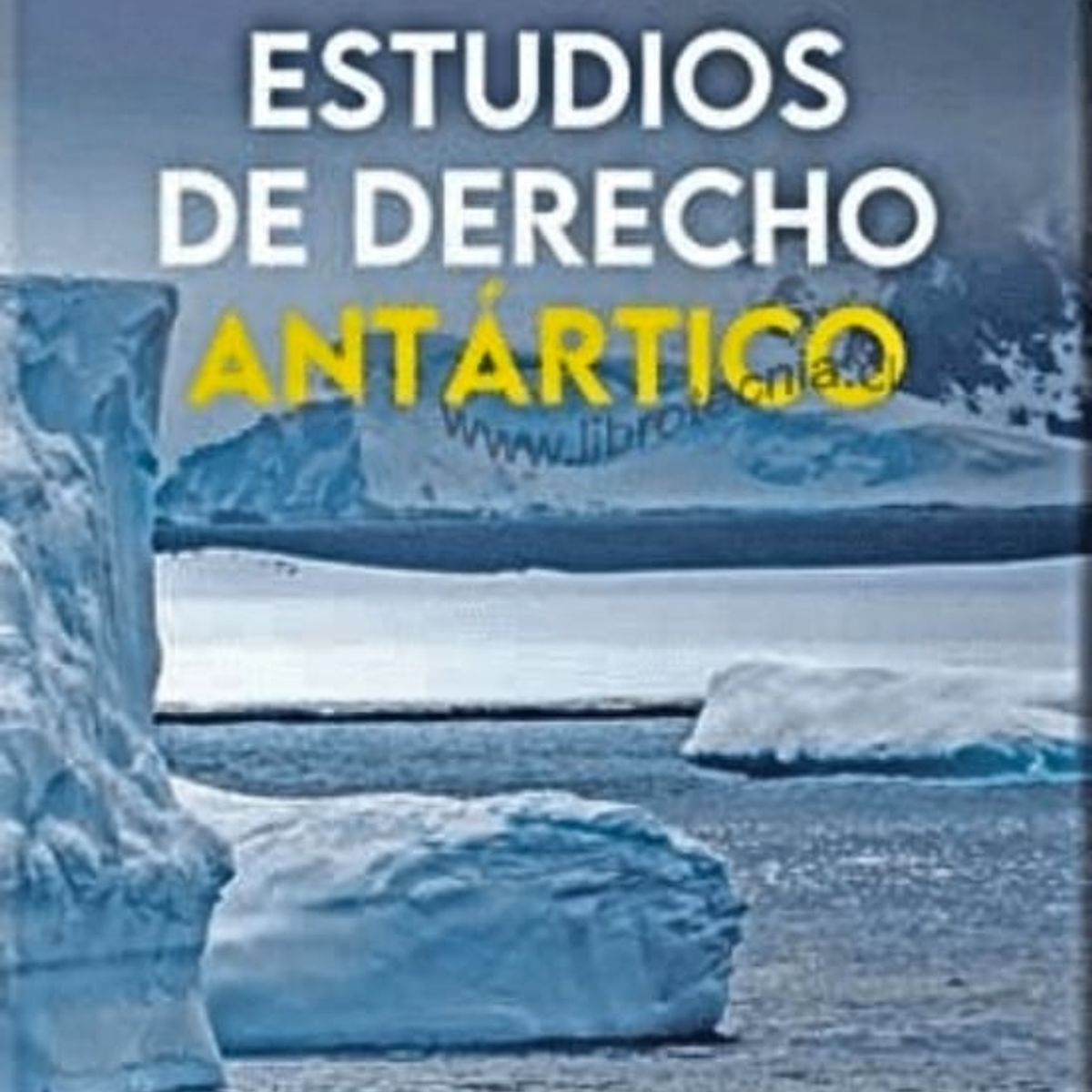 TOP10BOOKS - LIBRO Estudios De Derecho Antártico - Estudios De Derecho Antártico