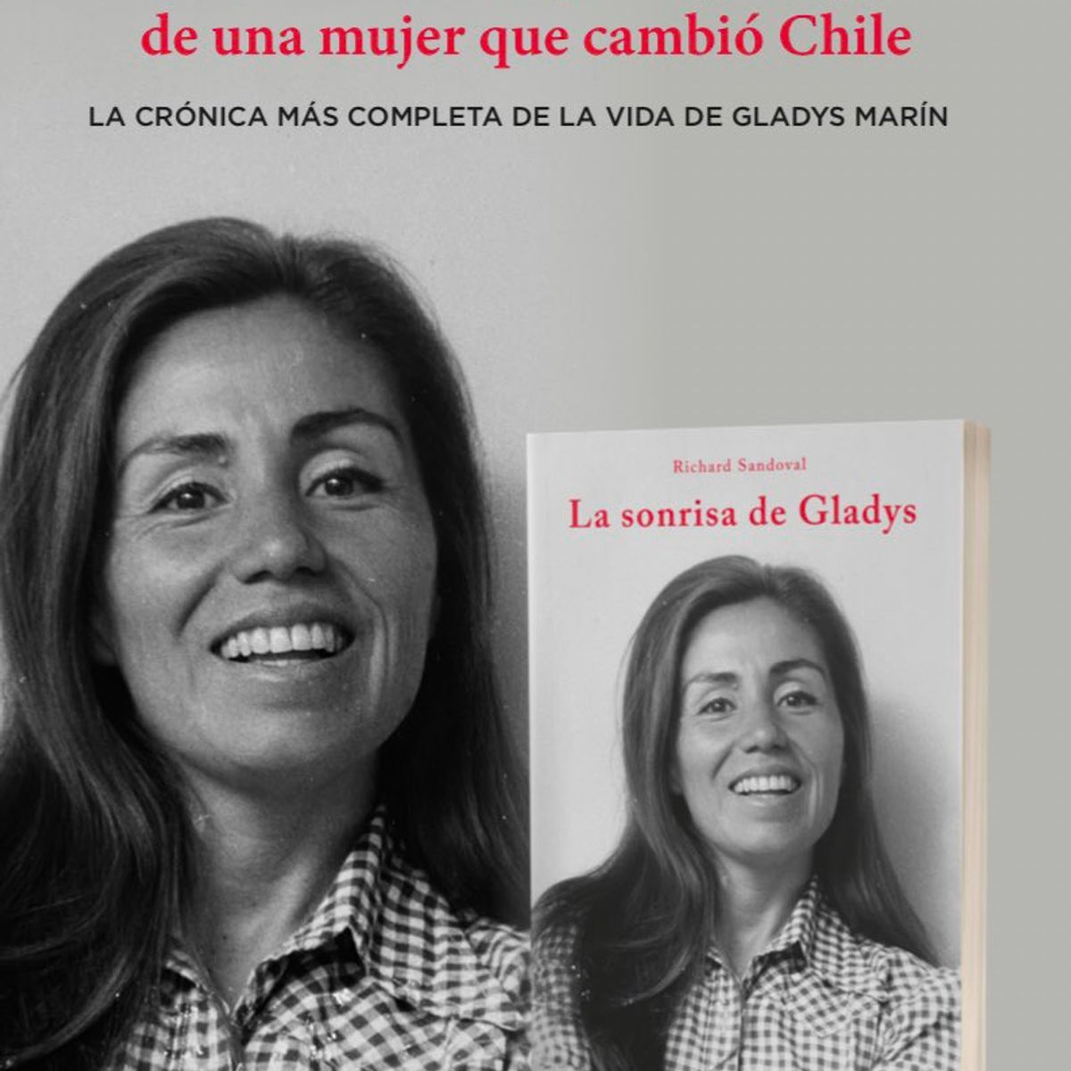 TOP10BOOKS - LIBRO La Sonrisa De Gladys - La Sonrisa De Gladys