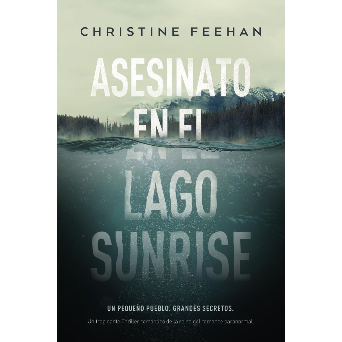 TOP10BOOKS - LIBRO Asesinato En El Lago Sunrise - CHRISTINE FEEHAN