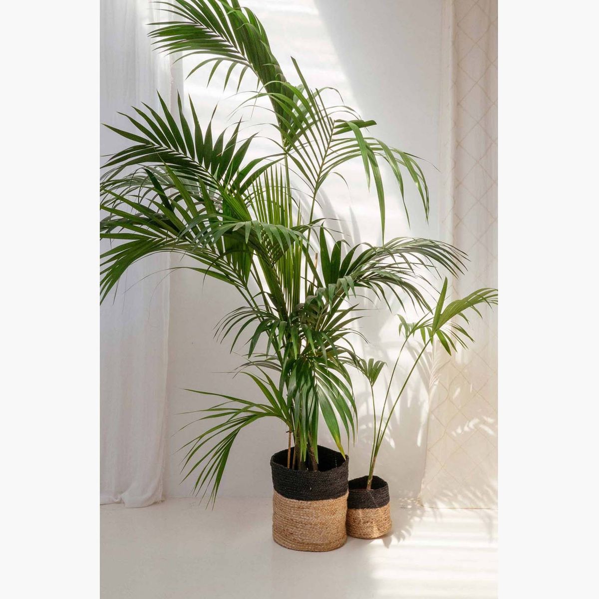 CALMA HOUSE - Canasto Ural Negro L Calma House