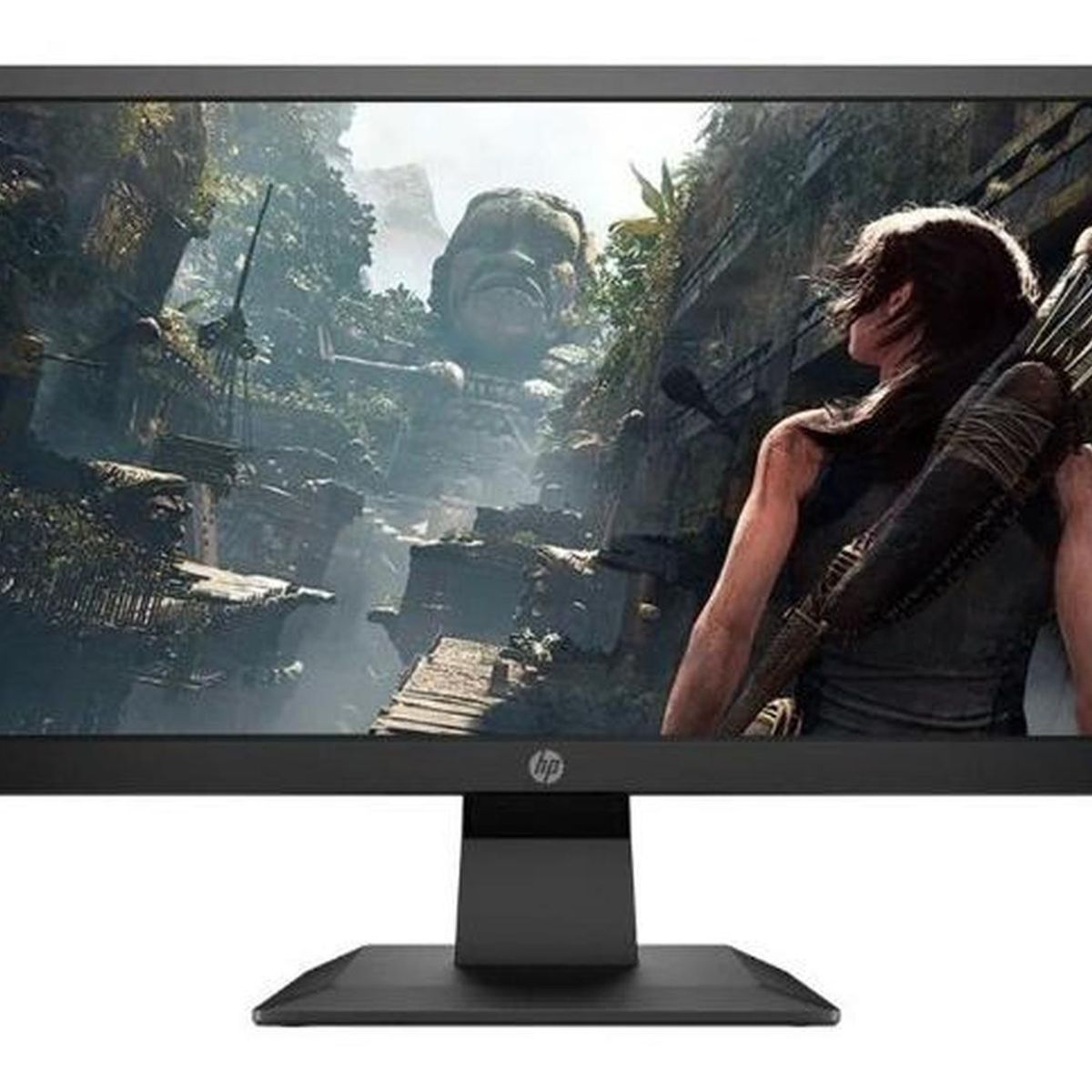 HP - Monitor Hp 19.5 P204v