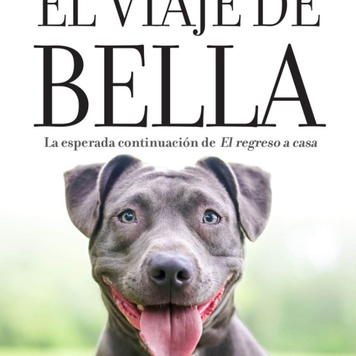 TOP10BOOKS - LIBRO El Viaje De Bella - El Viaje De Bella