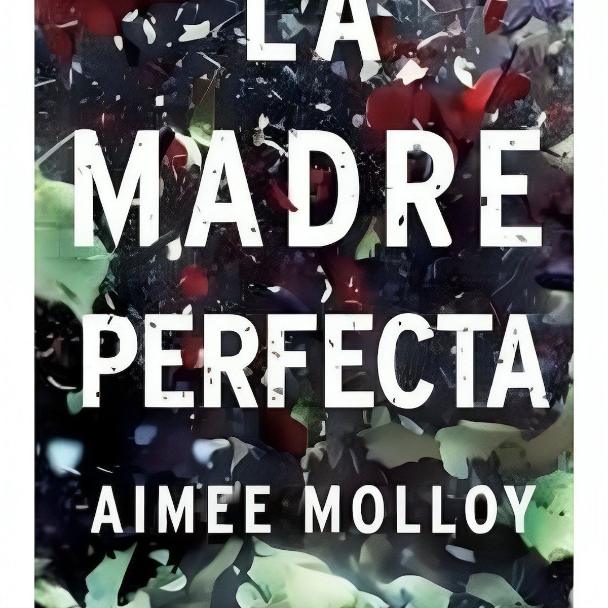 TOP10BOOKS - LIBRO La Madre Perfecta - La Madre Perfecta
