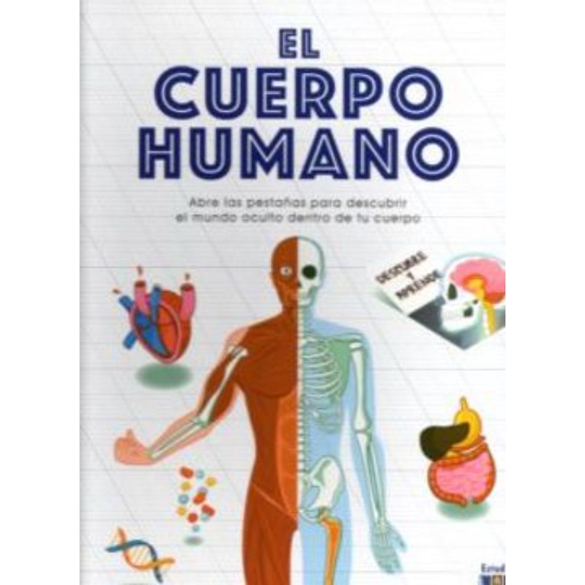 EDIMAT LIBROS - El Cuerpo Humano -Descubre Y Aprende