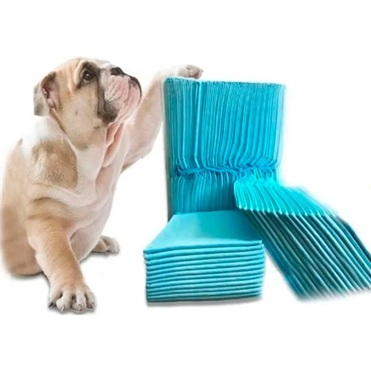 DETODOYMAS - 40 Pañales Tipo Sabanillas Mascotas Perros 60x90Cms DETODOYMAS