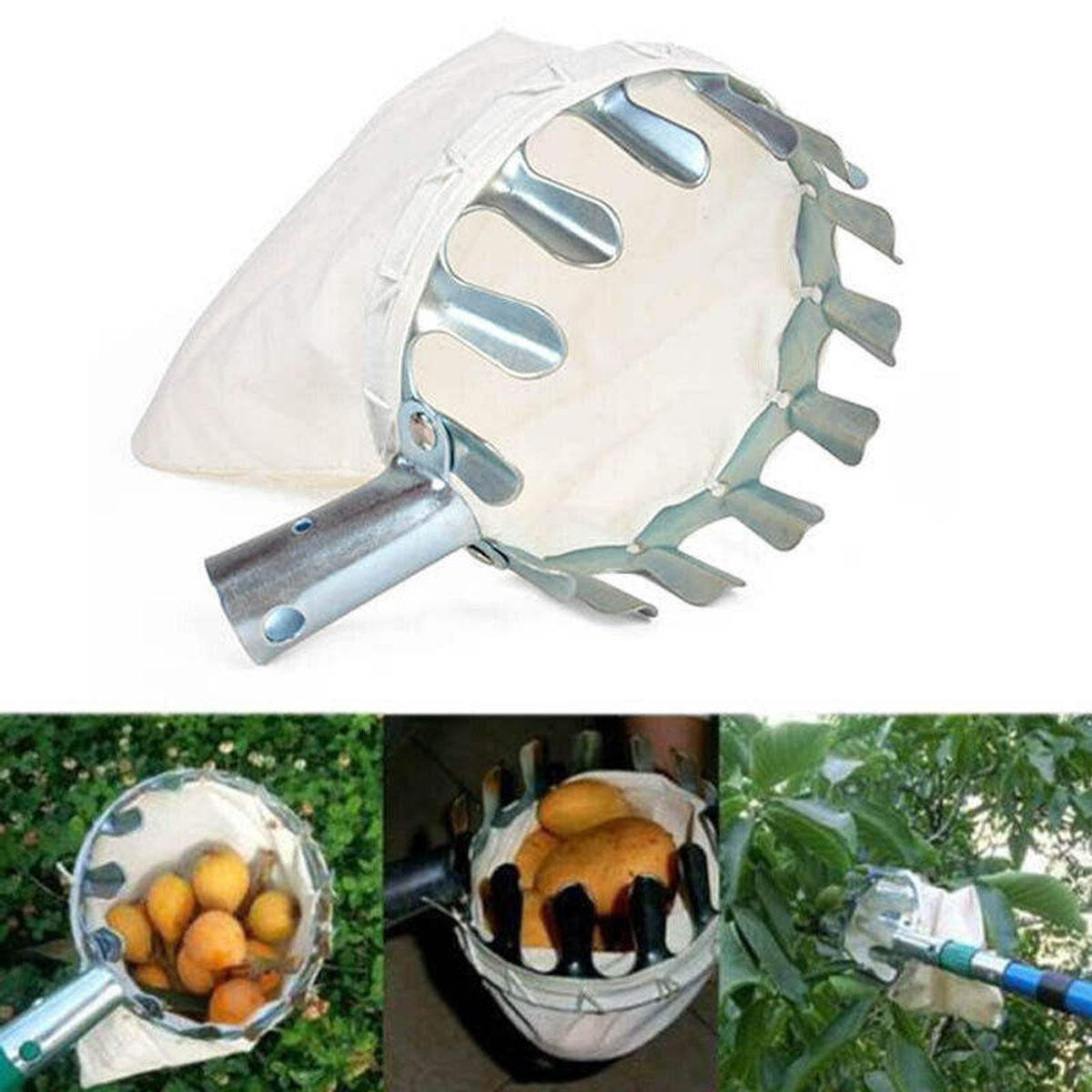 GENERICO - Recolector de frutos de tela con mango