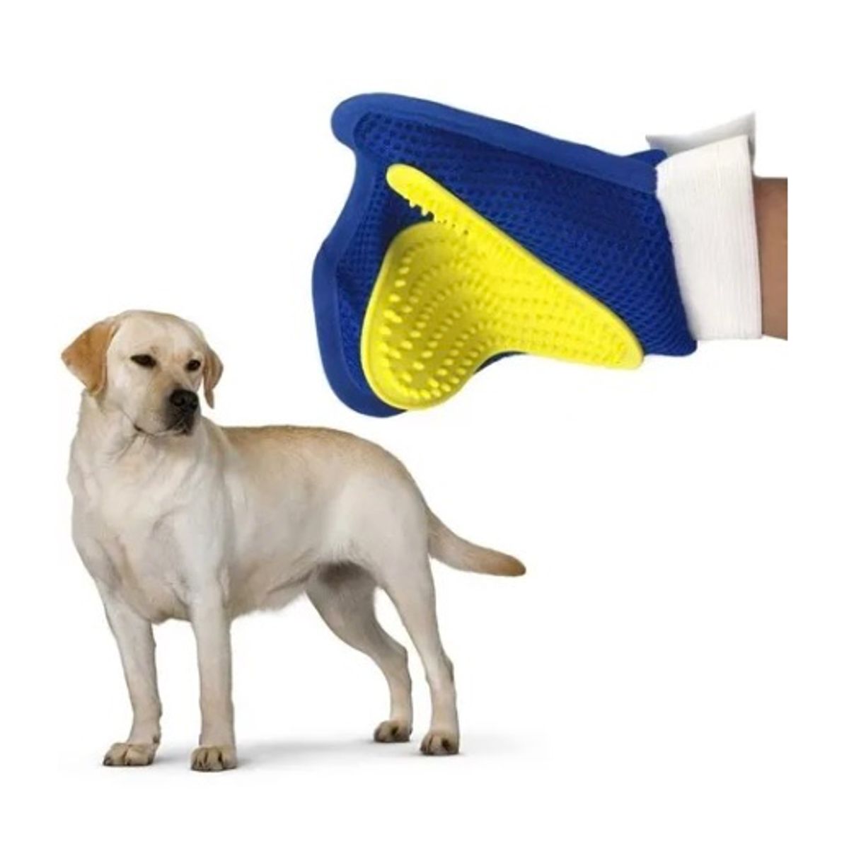 GENERICO - Guante Cepillo Quita Pelo Para Mascota Perro Y Gato - Azul