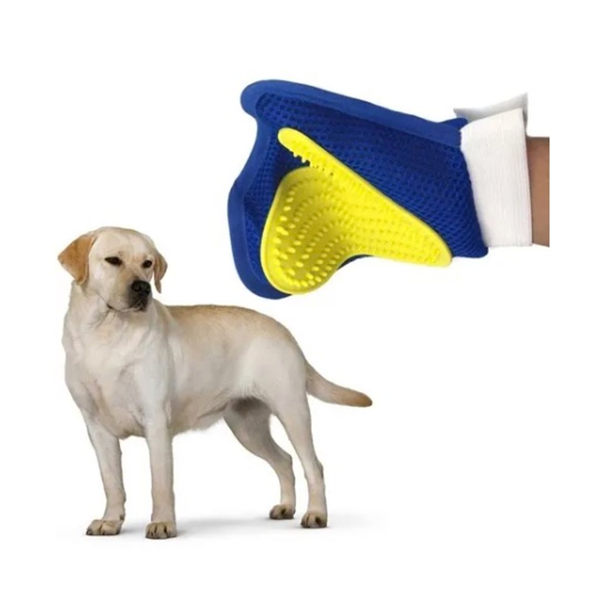 GENERICO - Guante Cepillo Quita Pelo Para Mascota Perro Y Gato - Azul