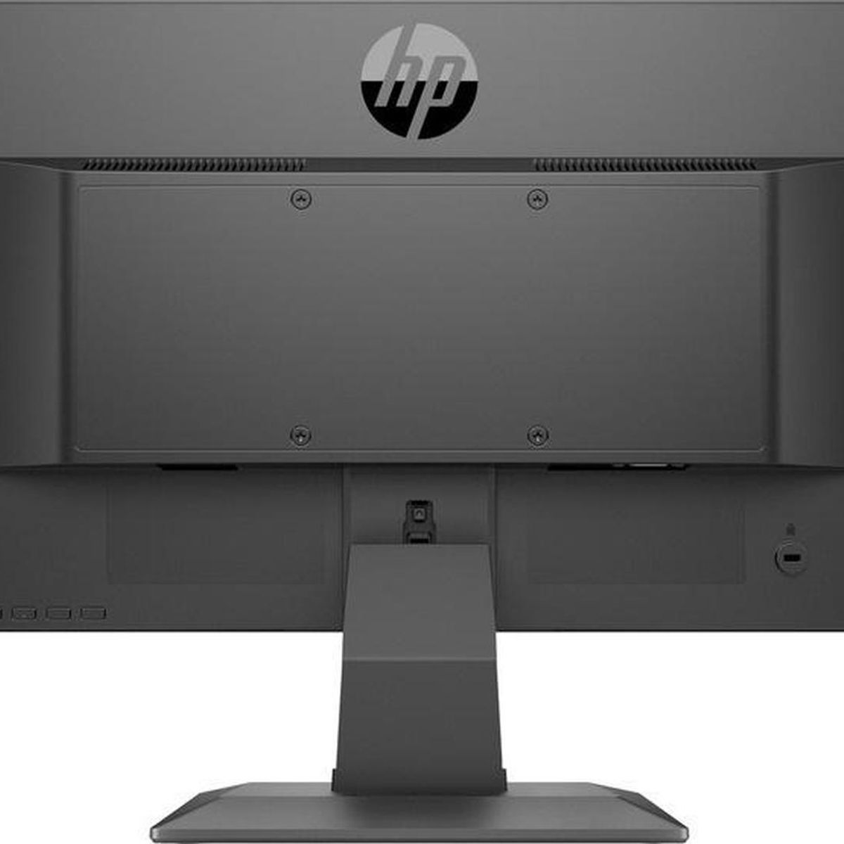 HP - Monitor Hp 19.5 P204v