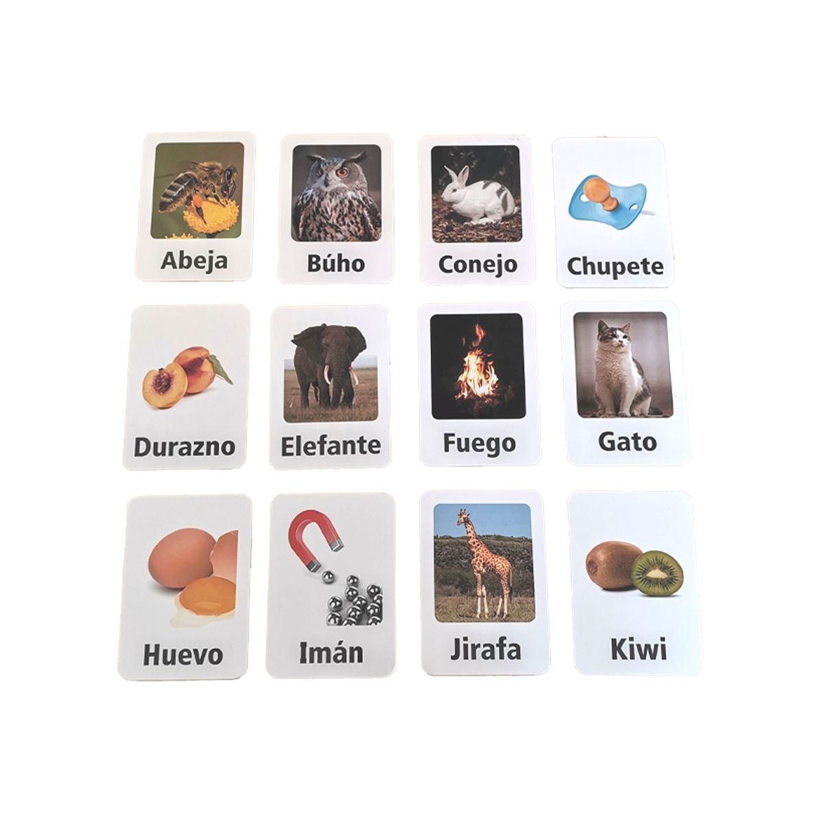 SEIGARD - Flash Cards Lenguaje SEG907 Color Variado