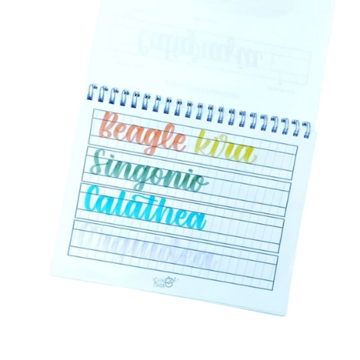 GENERICO - Guía de caligrafía brushpen - lettering