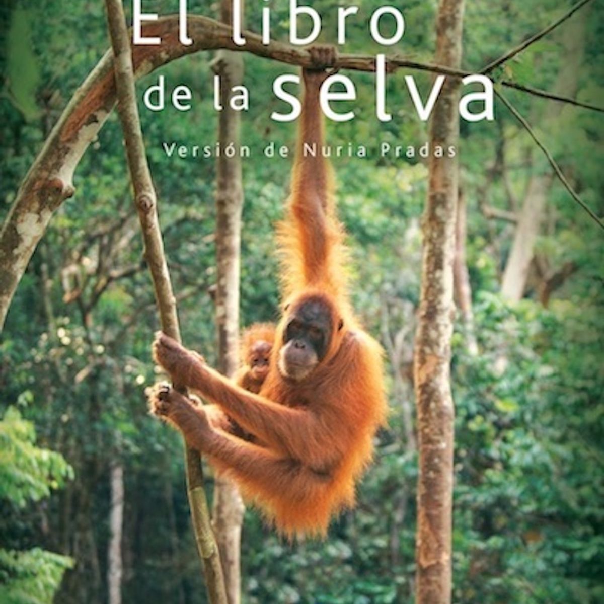 ALMADRABA - El Libro De La Selva