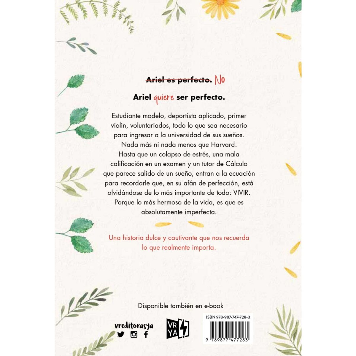 VERGARA Y RIBA - Imperfecto