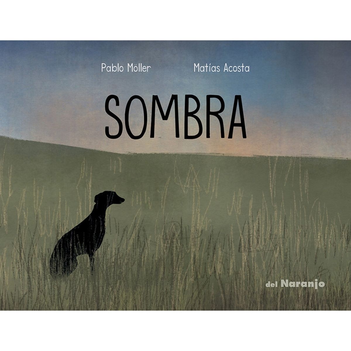 ZIG ZAG - Sombra