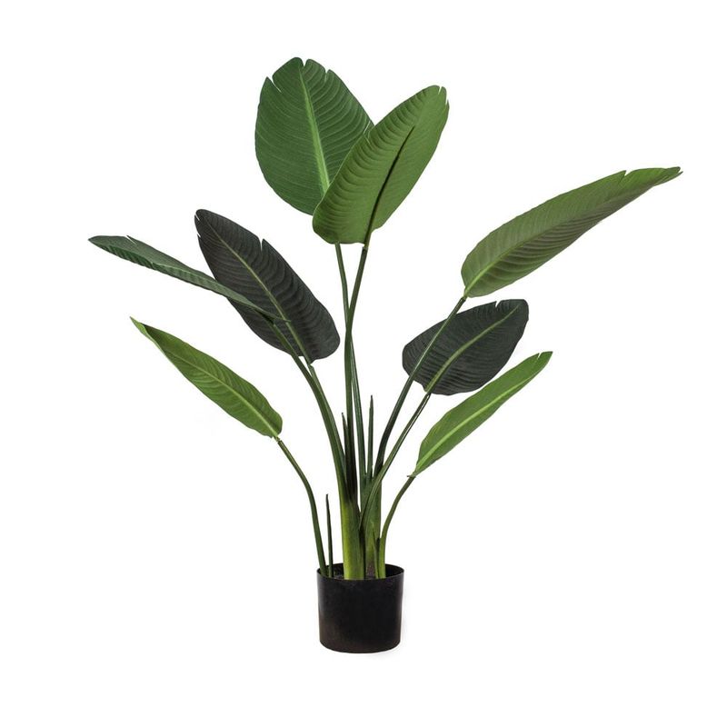 THE GARDEN - BIRD OF PARADISE 8 HOJAS 120 CM