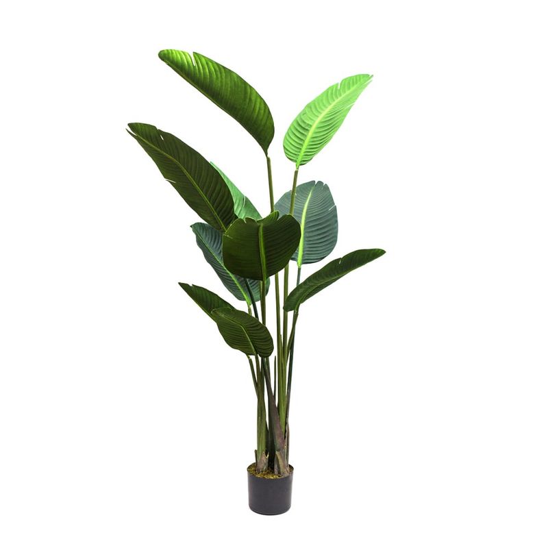 THE GARDEN - BIRD OF PARADISE 10 HOJAS 155 CM
