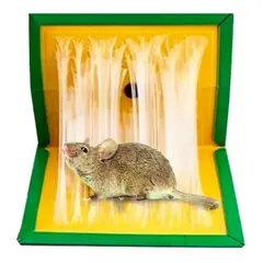 OEM - Trampa Adhesiva Ratones Y Ratas Cebo Roedores