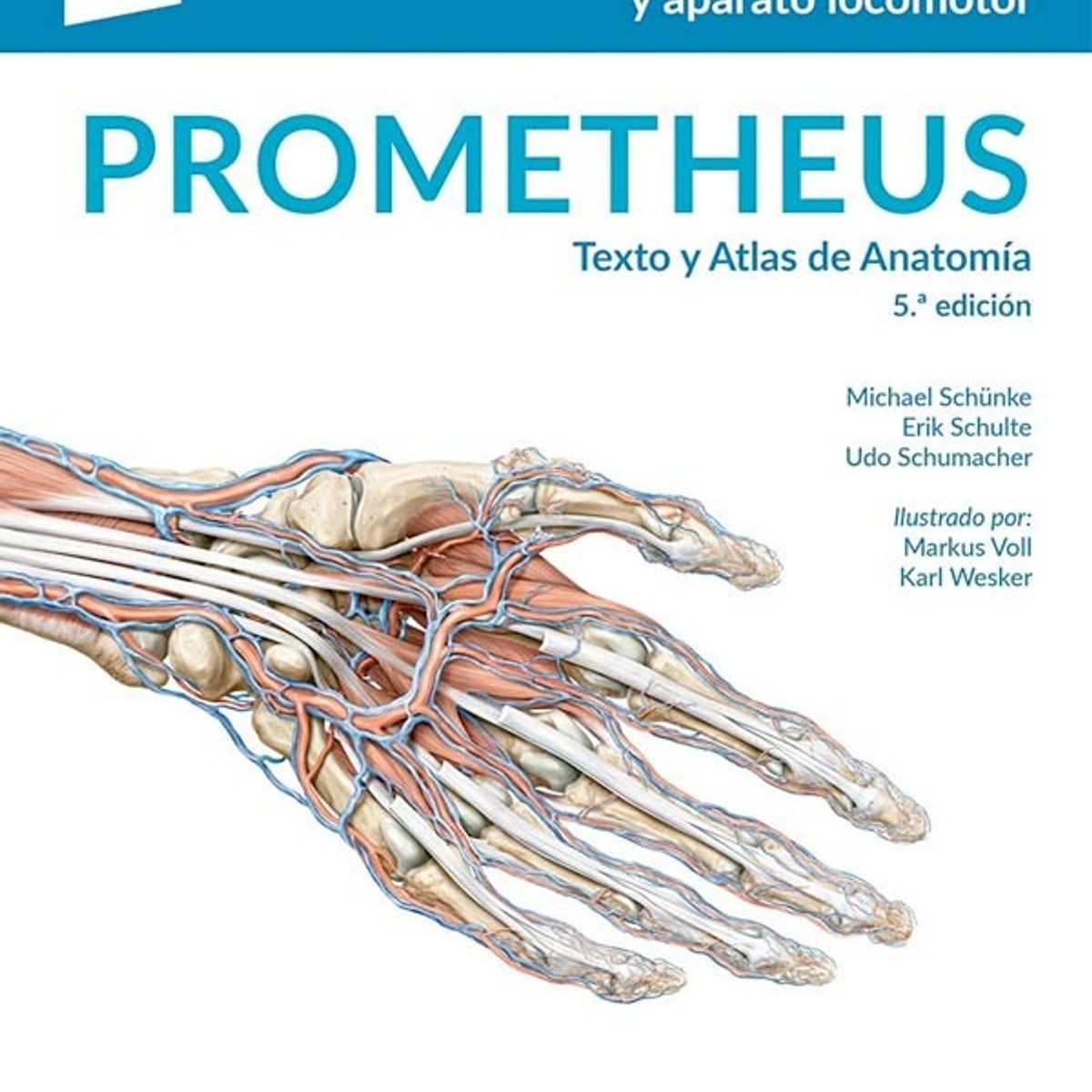 EDITORIAL MEDITERRANEO - Libro Texto Y Atlas De Anatomia 5Ed T.1 Anatomia G