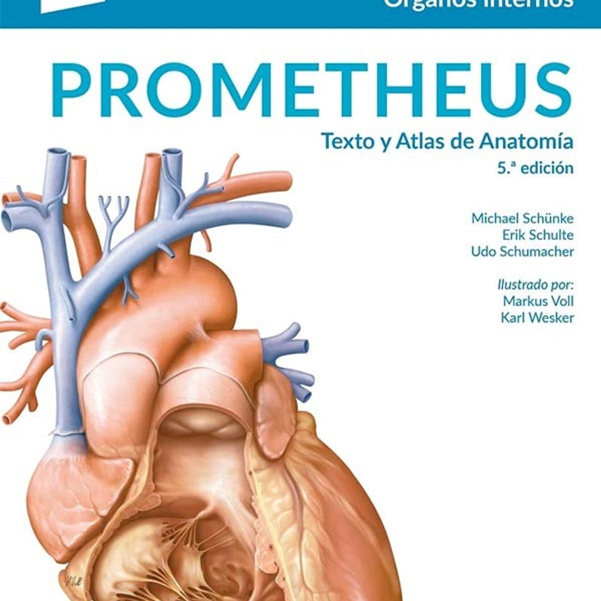 EDITORIAL MEDITERRANEO - Libro Texto Y Atlas De Anatomia 5Ed T.2 Organos Internos