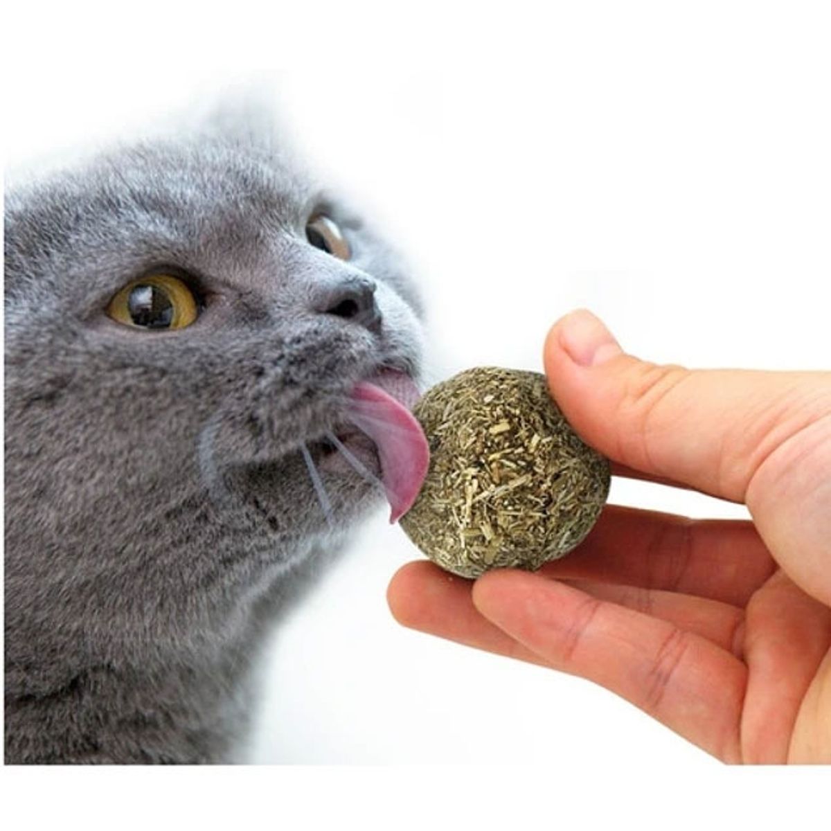 MARBEN PETS - Bola Catnip Natural Wonder Cat, Tamaño XL 5cms