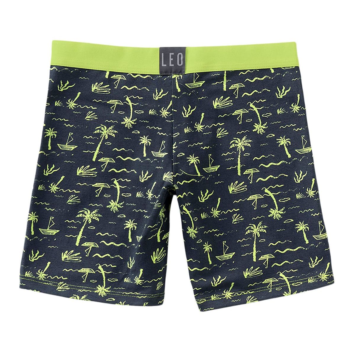 LEO - Infantil 33294X2 Bóxer niño Surtido Verde y Azul