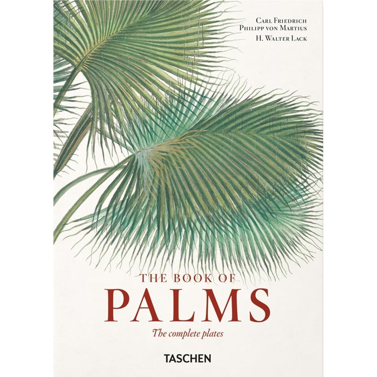TASCHEN - 40 - Martius. El libro de las Palmeras