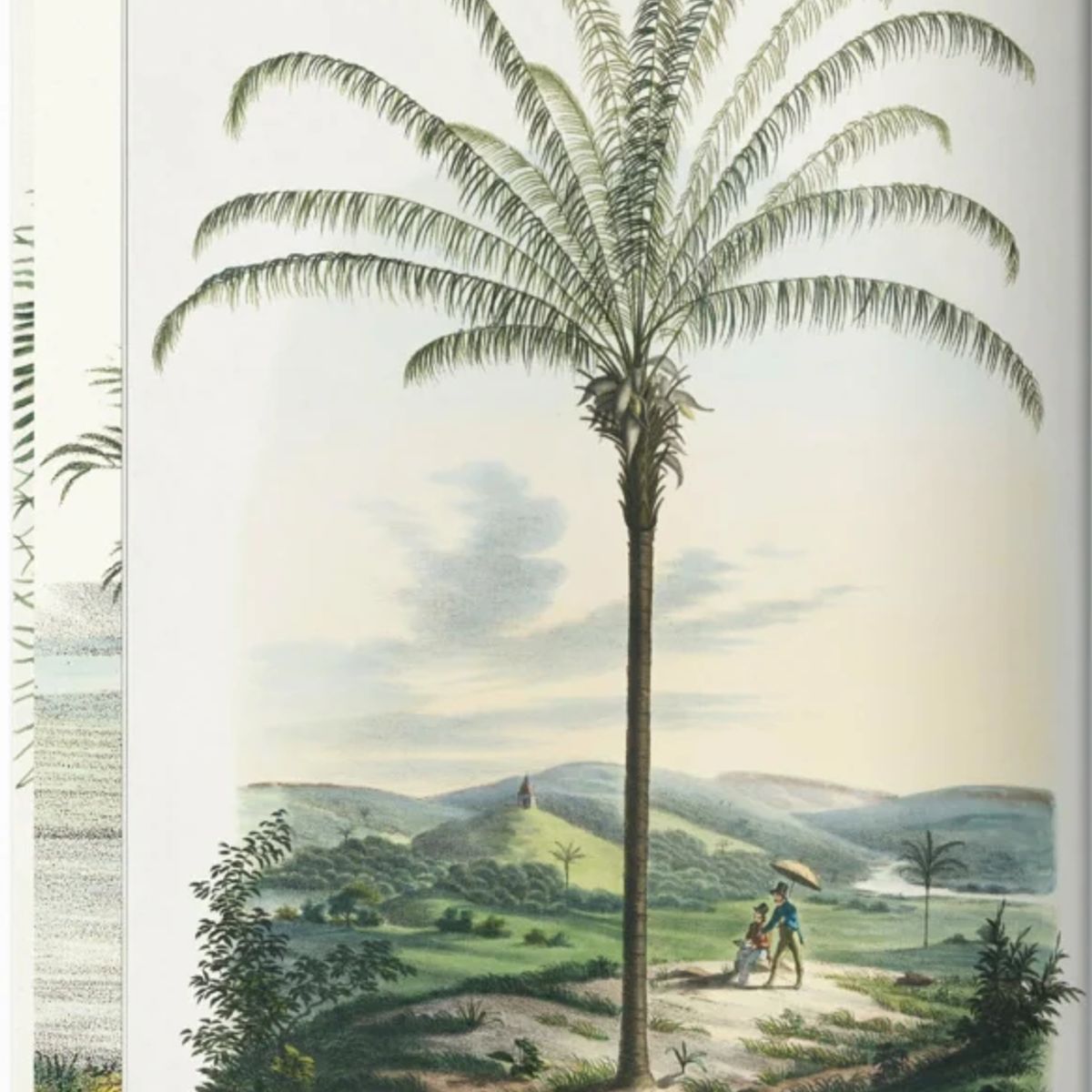 TASCHEN - 40 - Martius. El libro de las Palmeras