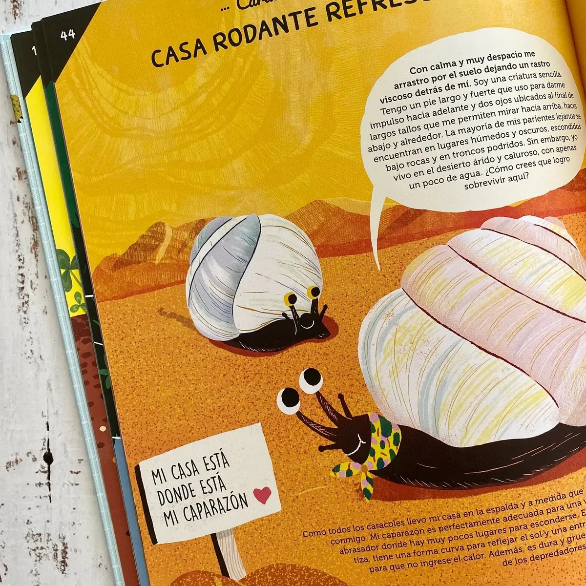 EDITORIAL CONTRAPUNTO - Construido Por Animales