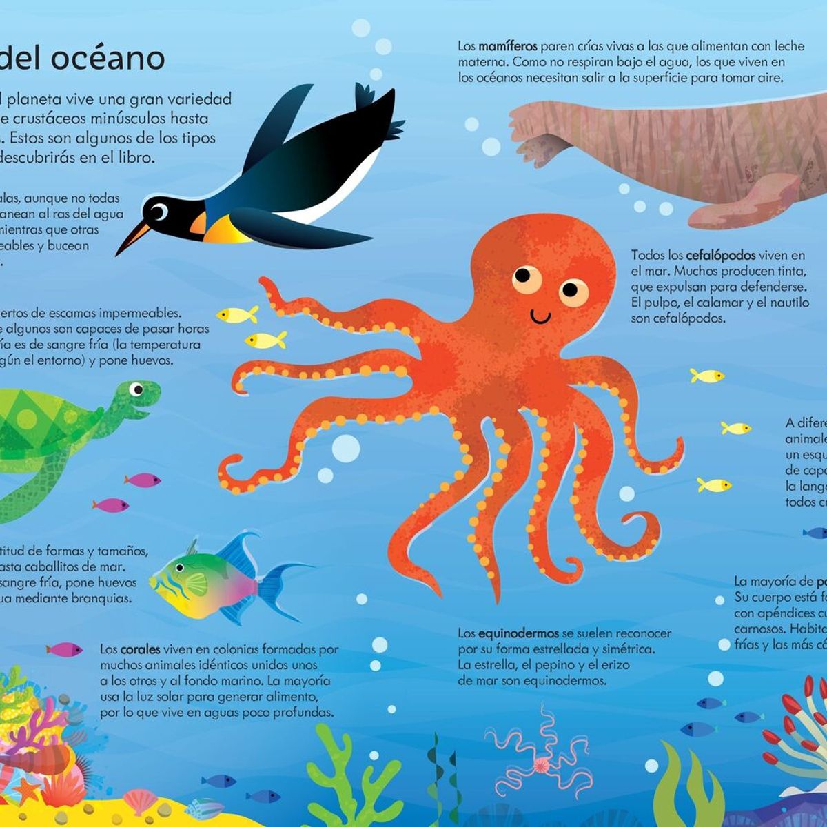 USBORNE - Y Puzzle - En El Océano (300 Piezas)