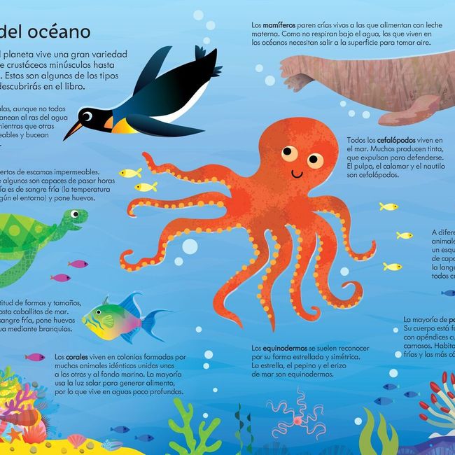 USBORNE - Y Puzzle - En El Océano (300 Piezas)