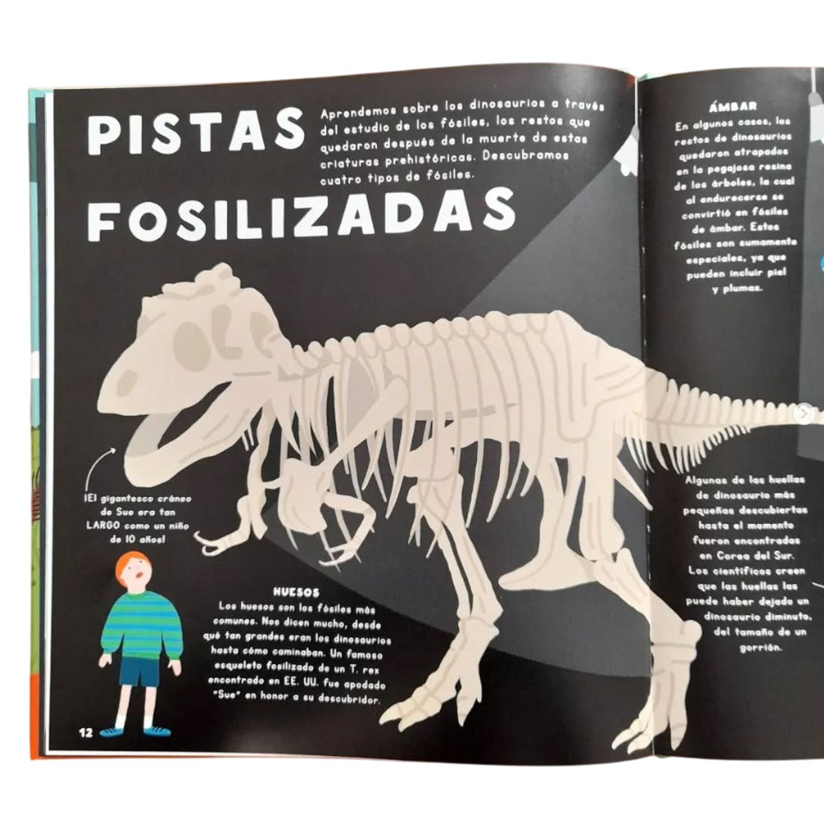 EDITORIAL CONTRAPUNTO - Mi Primer Libro De Comparaciones De Dinosaurios