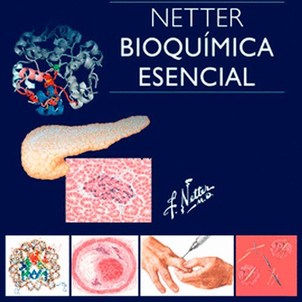 EDITORIAL MEDITERRANEO - Libro Netter. Bioquimica Esencial