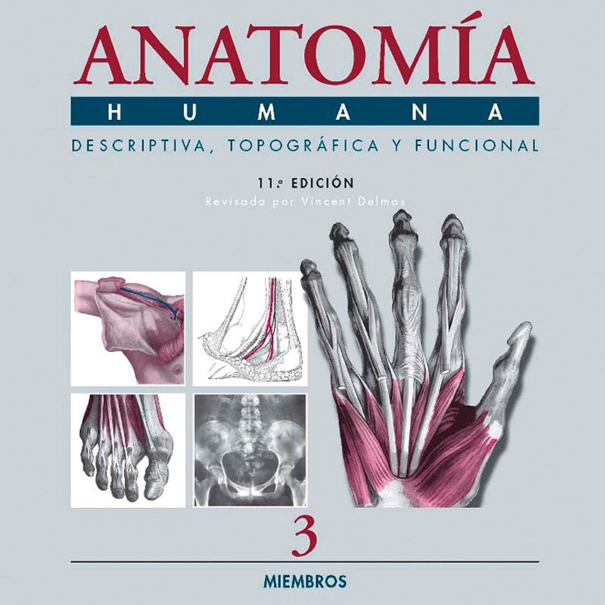 EDITORIAL MEDITERRANEO - Libro Anatomía Humana 3 11e: Miembros