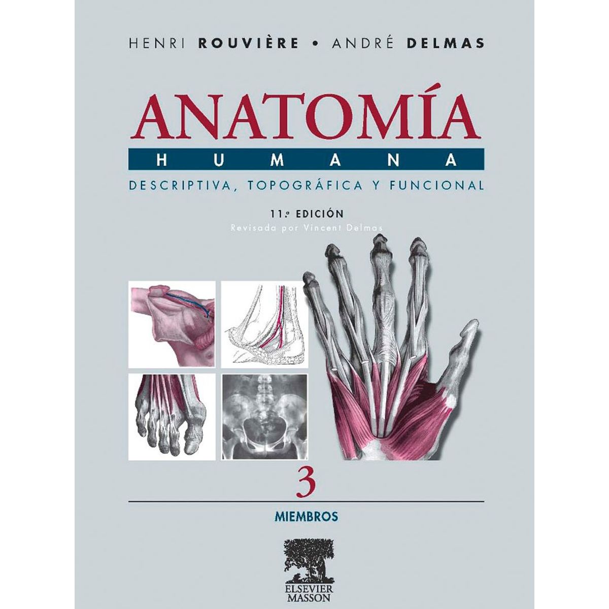EDITORIAL MEDITERRANEO - Libro Anatomía Humana 3 11e: Miembros