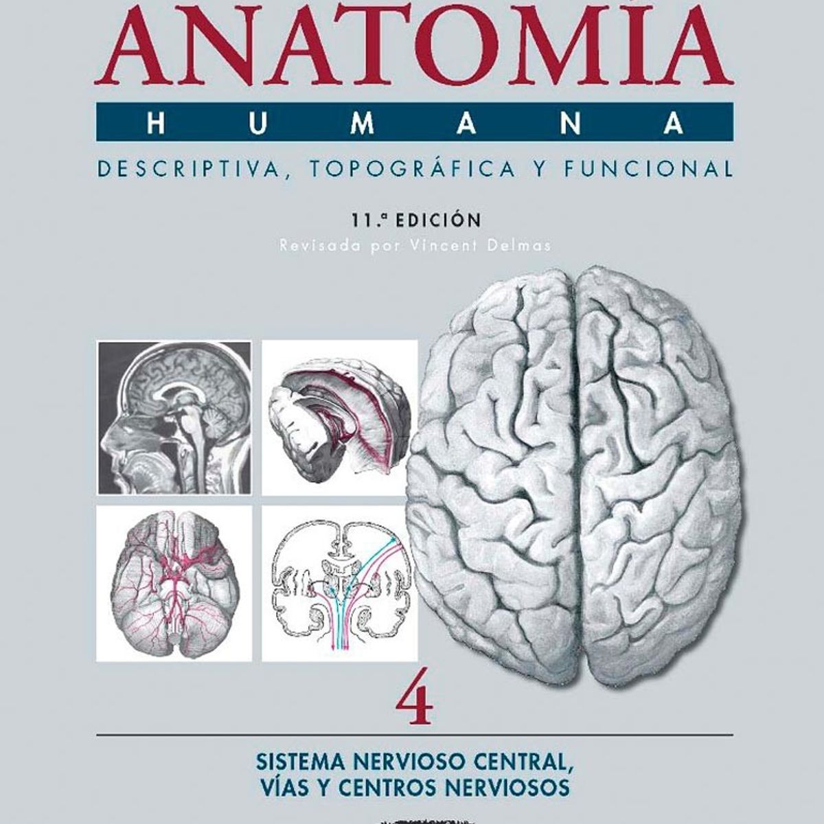 EDITORIAL MEDITERRANEO - Libro Anatomia Humana 4 11e: Snc, Vias Y Centros Nerviosos