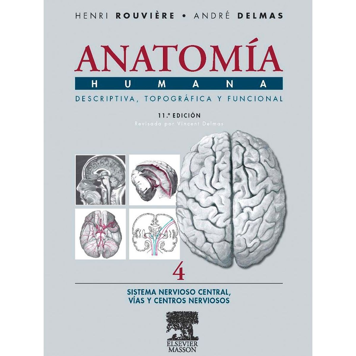 EDITORIAL MEDITERRANEO - Libro Anatomia Humana 4 11e: Snc, Vias Y Centros Nerviosos