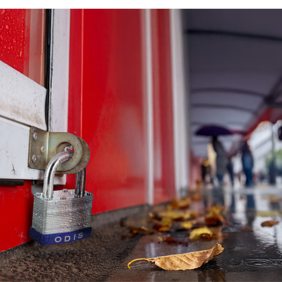 ODIS - Pack 2 Candados Odis Laminado 40mm - Llaves Iguales