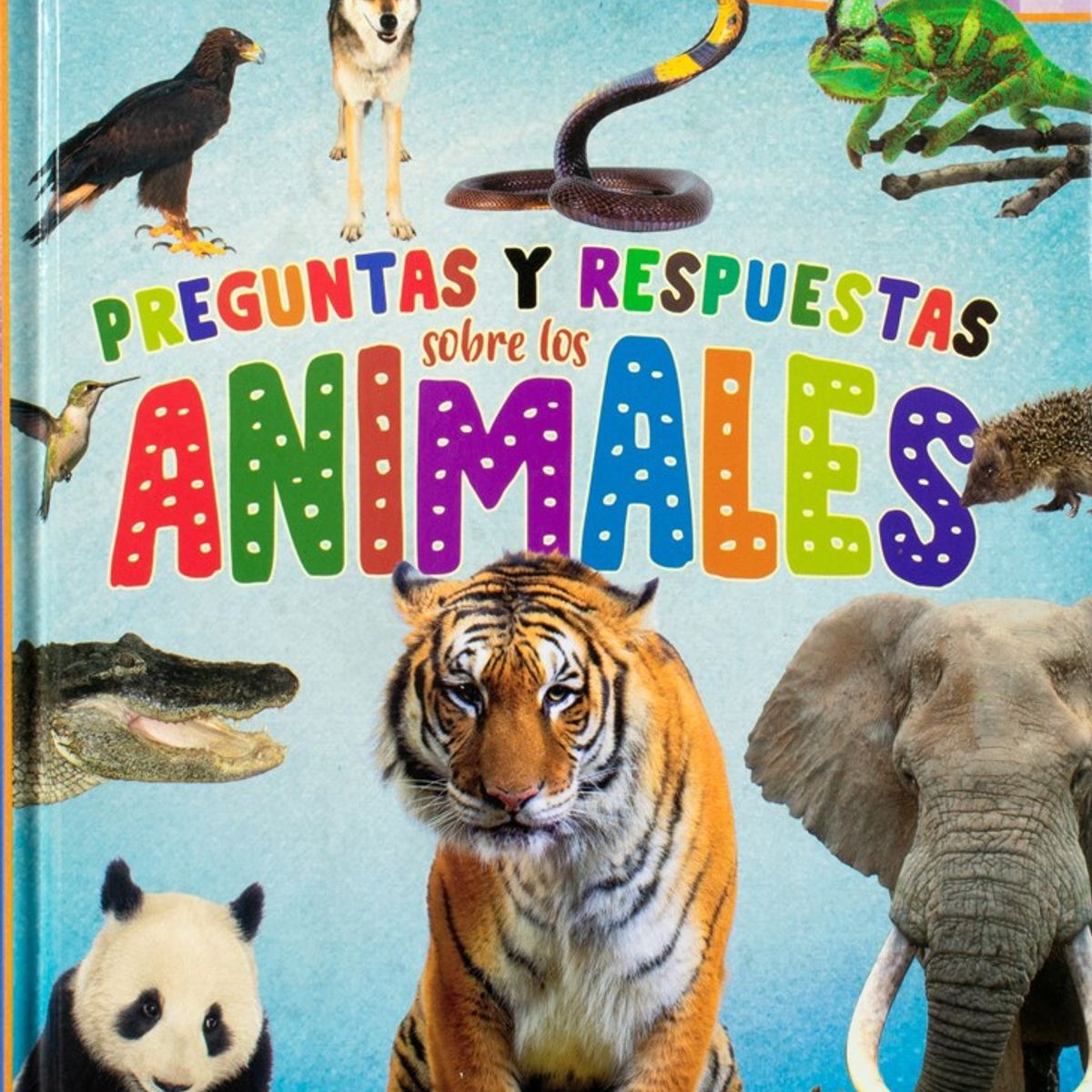 SILVER DOLPHIN - Preguntas Y Respuestas Sobre Los Animales