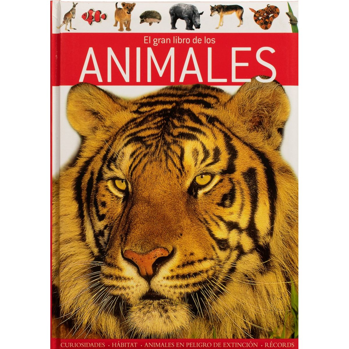 SILVER DOLPHIN - El gran libro de: Los animales