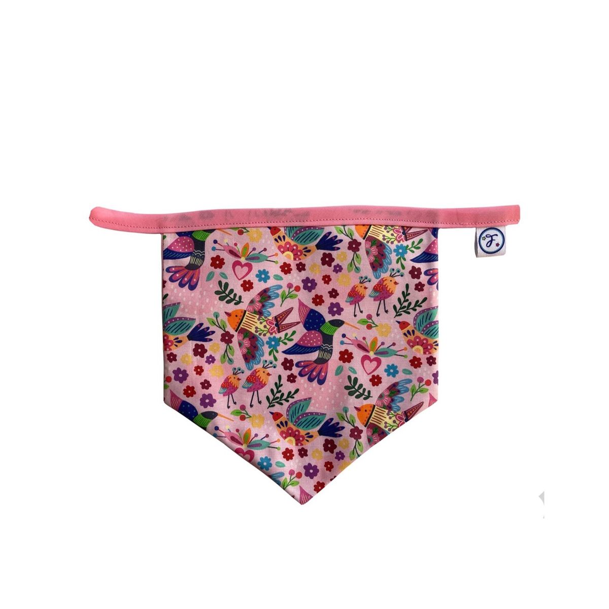 FLORENCIA Y SUS AVENTURAS - Banderines decorativos - Picaflores-Flores