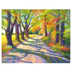 MI ARTE OCIO CONSENTIDO - Pintura diamante Sendero 30x40 cm diamond painting