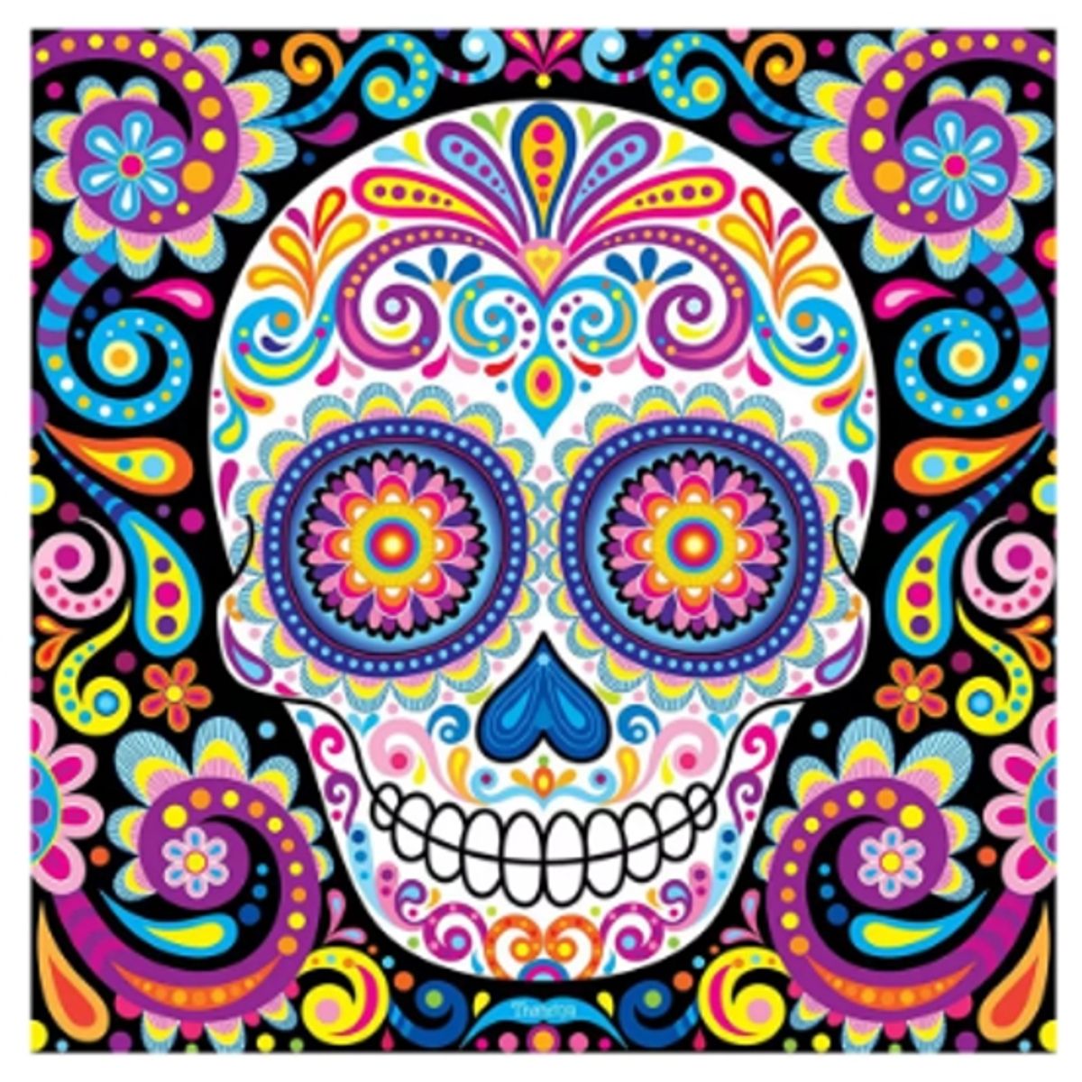 MI ARTE OCIO CONSENTIDO - Pintura por diamante Calavera 30x30 cm Diamond painting