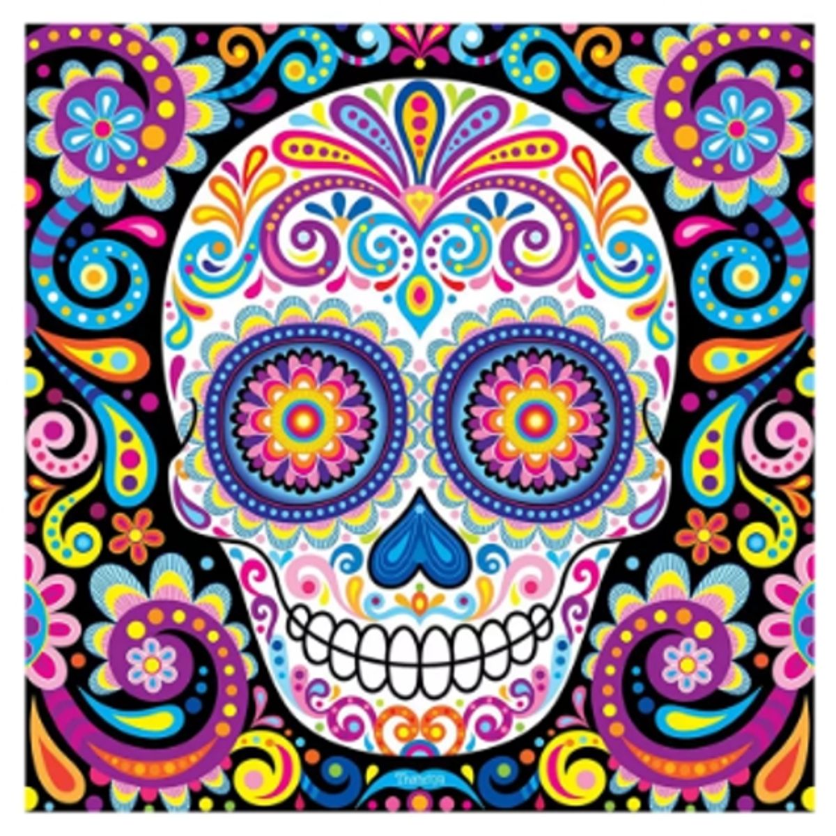 MI ARTE OCIO CONSENTIDO - Pintura por diamante Calavera 30x30 cm Diamond painting