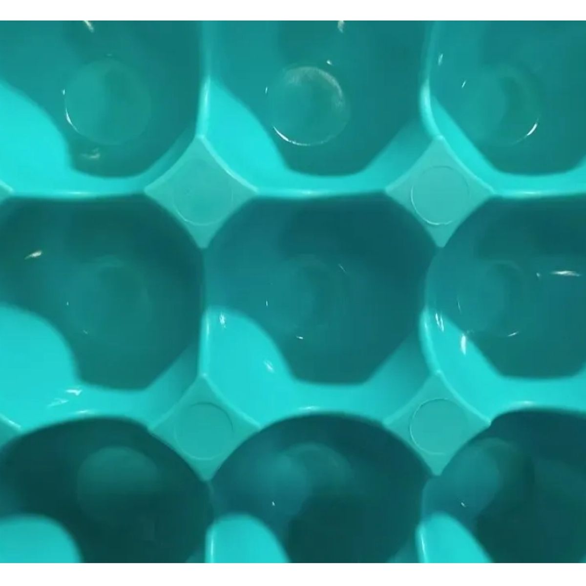 GENERICO - Organizador Caja Para 15 Huevos Cocina Decoración Hogar