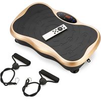 PLATAFORMA VIBRATORIA V1 MP3